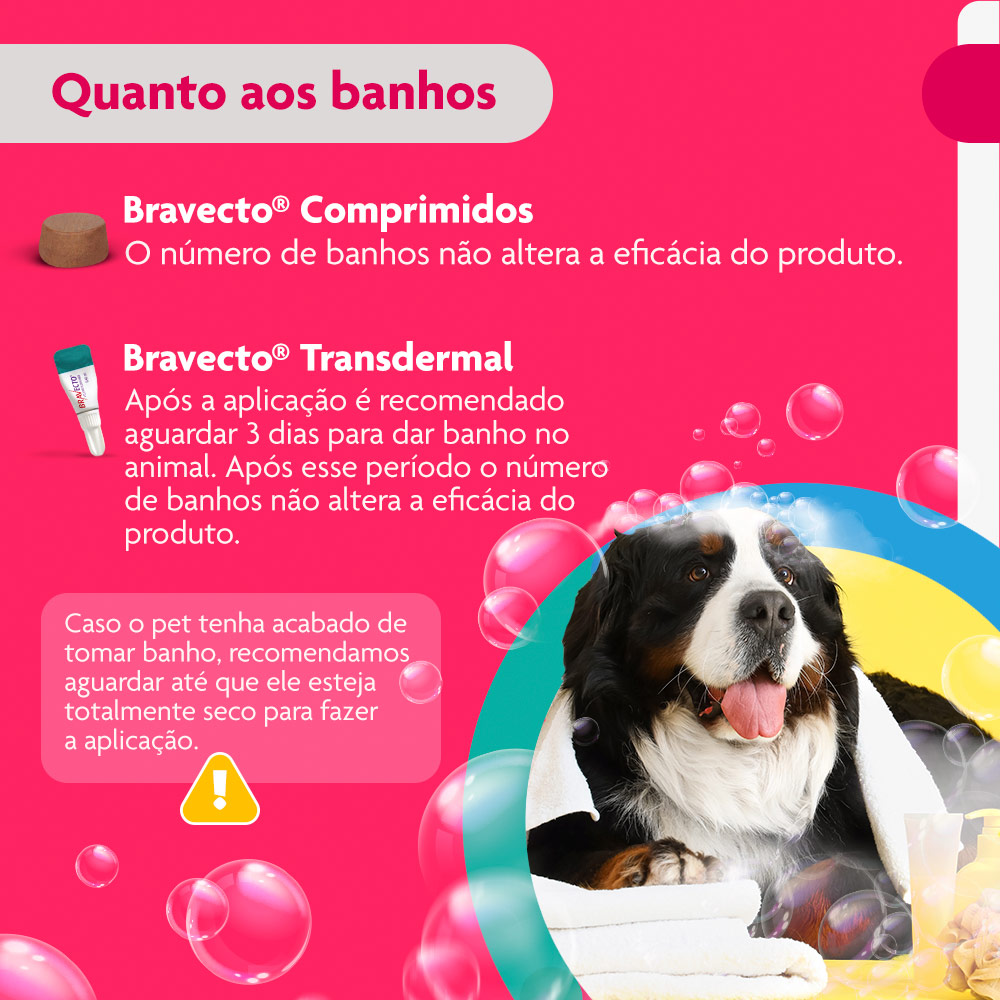 Antipulgas e Carrapatos Bravecto Transdermal 1400mg para Cães de 40 a 56kg - MSD Saúde Animal