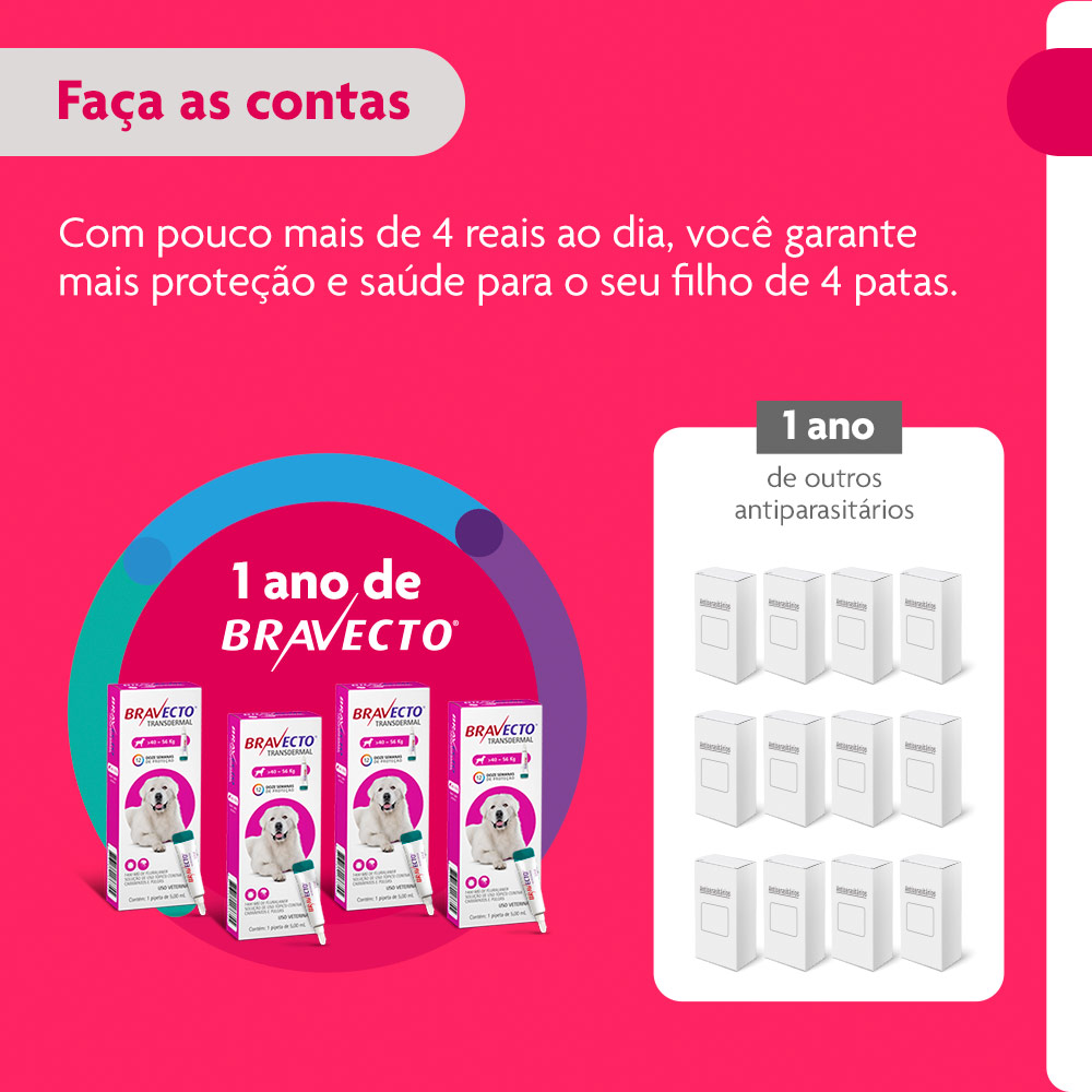 Antipulgas e Carrapatos Bravecto Transdermal 1400mg para Cães de 40 a 56kg - MSD Saúde Animal