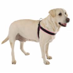 Peitoral Ferplast Agila Fluo Amarelo e Preto Para Cães - Tam 8