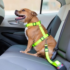 Cinto de Segurança Ha Ha Ha para Cães 47 a 72cm