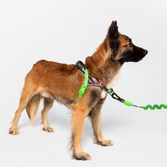 Peitoral Zee.Dog Lozt Softwalker Manifesto para Cães