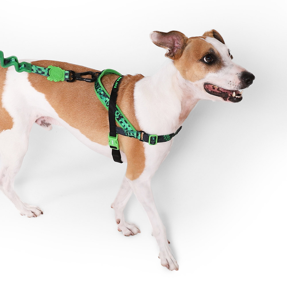 Peitoral Zee.Dog Glitch Softerwalk Error 410 para Cães