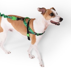 Peitoral Zee.Dog Glitch Softerwalk Error 410 para Cães