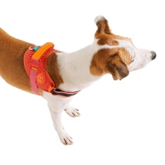 Peitoral Zee.Dog FlyHarness Gazelle para Cães