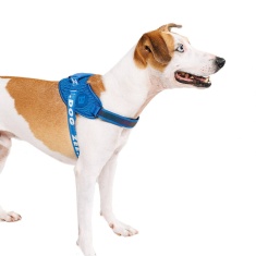 Peitoral Zee.Dog FlyHarness Slam Dunk para Cães