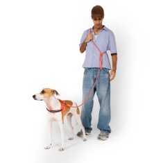 Guia Zee.Dog Mãos Livres Gazelle para Cães