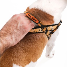 Peitoral Anti Puxão Zee.Dog SofterWalk FARM Rio Bossa Banana para Cães