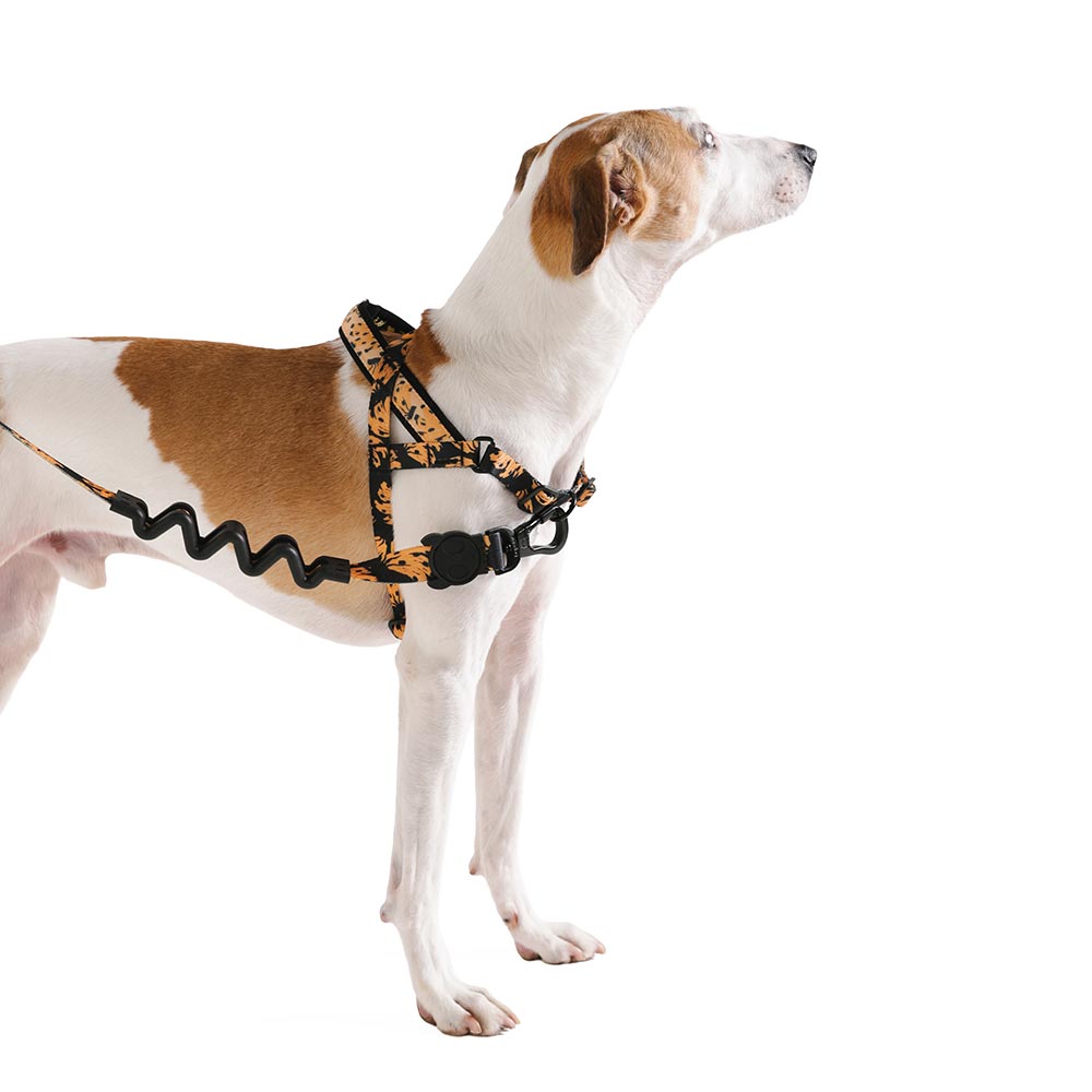 Peitoral Anti Puxão Zee.Dog SofterWalk FARM Rio Bossa Banana para Cães