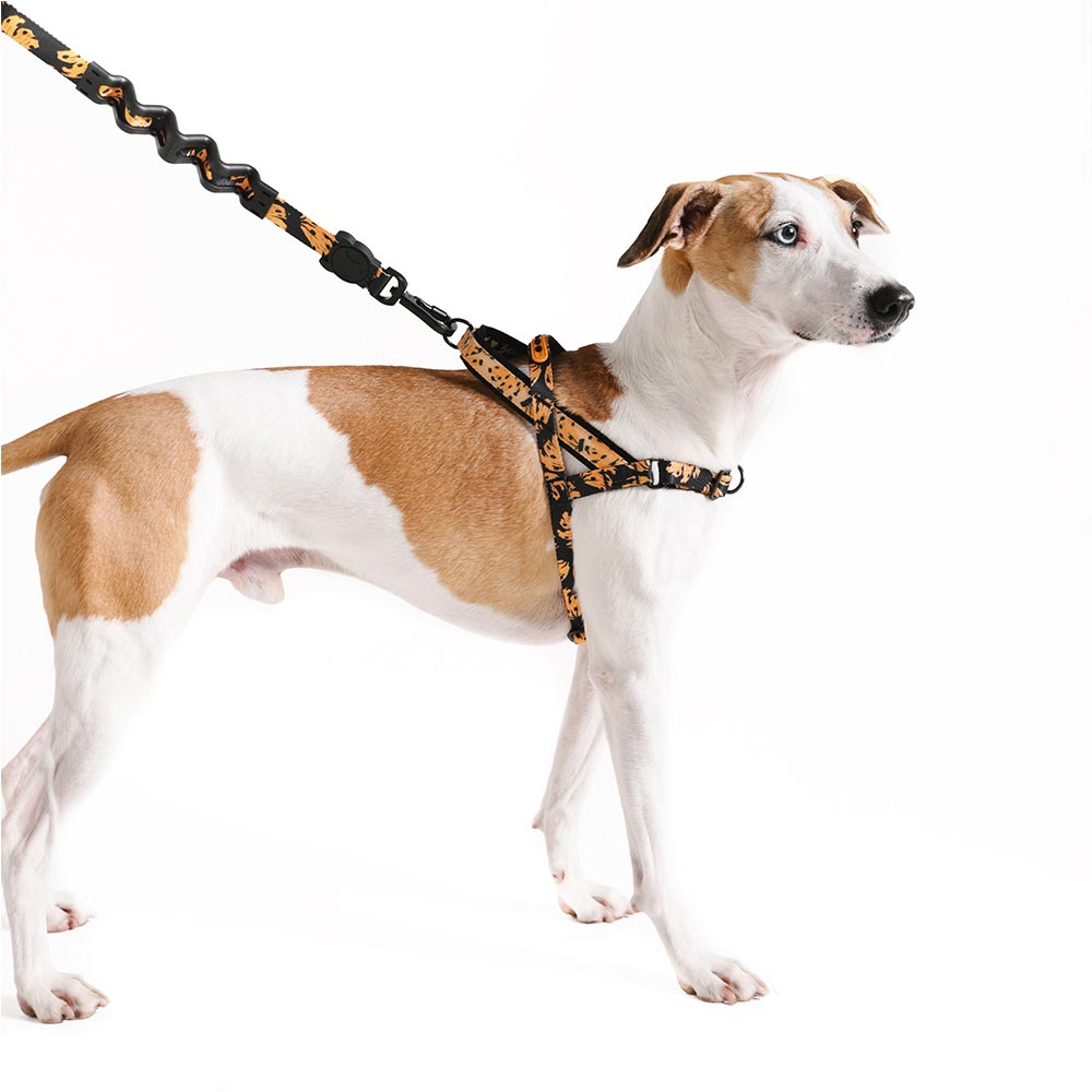 Peitoral Anti Puxão Zee.Dog SofterWalk FARM Rio Bossa Banana para Cães