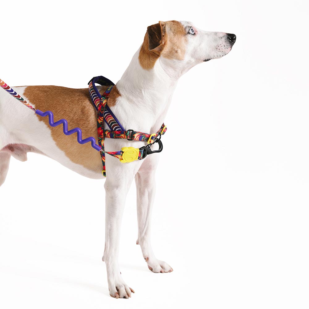 Peitoral Anti Puxão Zee.Dog SofterWalk Farm Samba para Cães