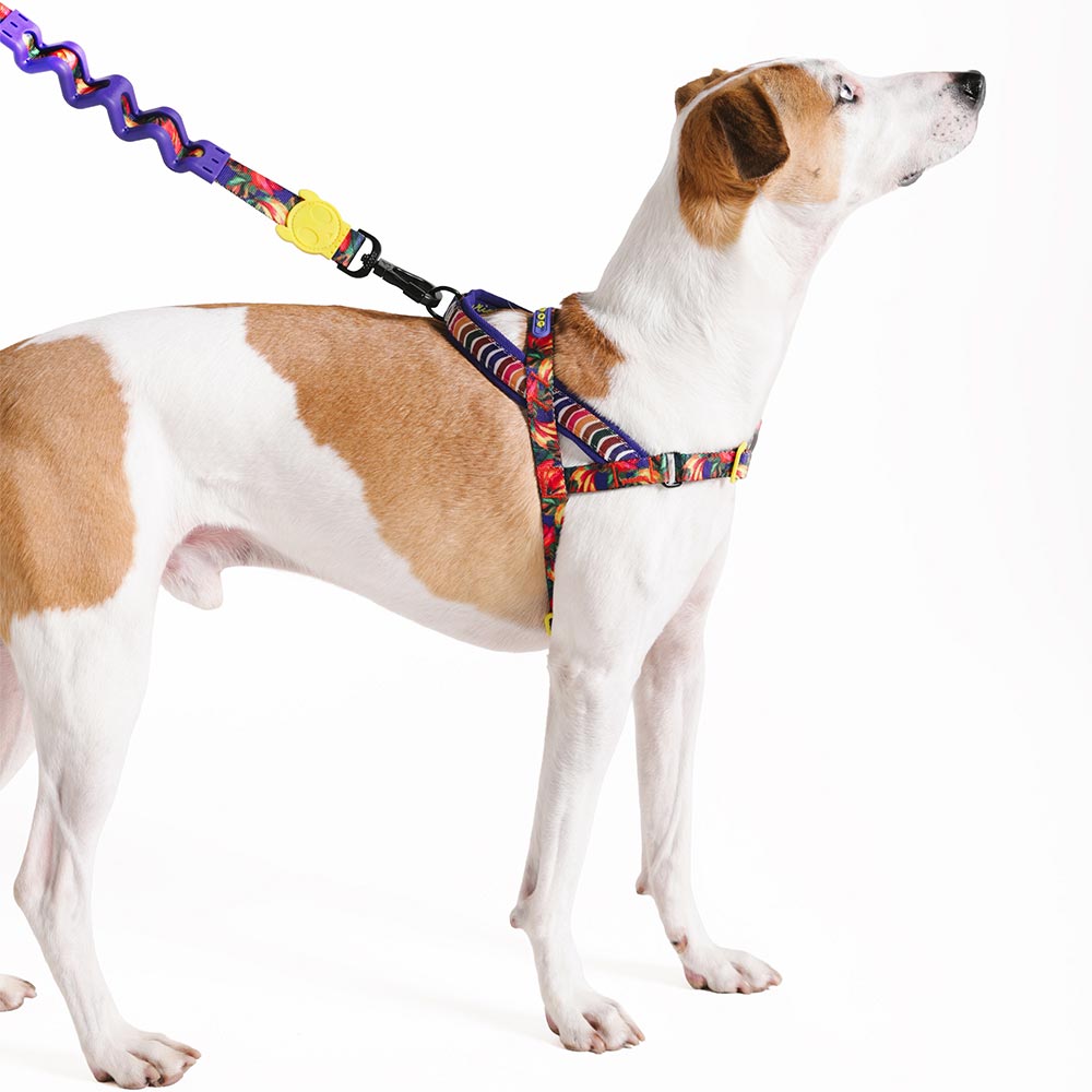 Peitoral Anti Puxão Zee.Dog SofterWalk Farm Samba para Cães