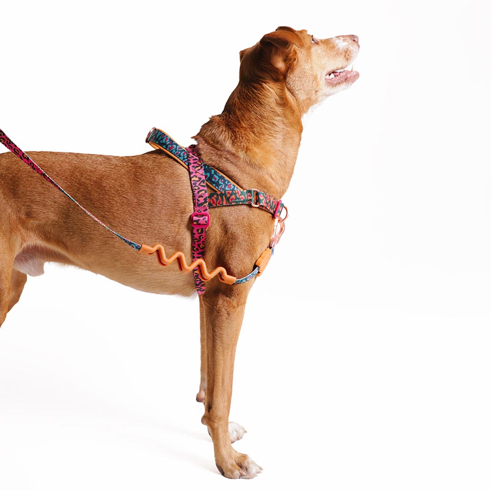 Peitoral Anti Puxão Zee.Dog SofterWalk Farm Selva para Cães