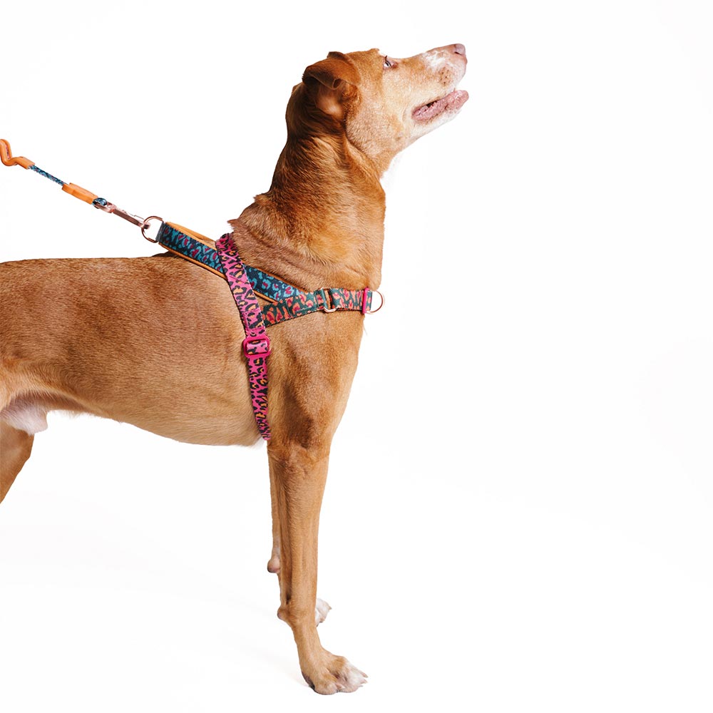 Peitoral Anti Puxão Zee.Dog SofterWalk Farm Selva para Cães