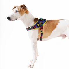 Peitoral Zee.Dog FlyHarness FARM Rio Samba para Cães
