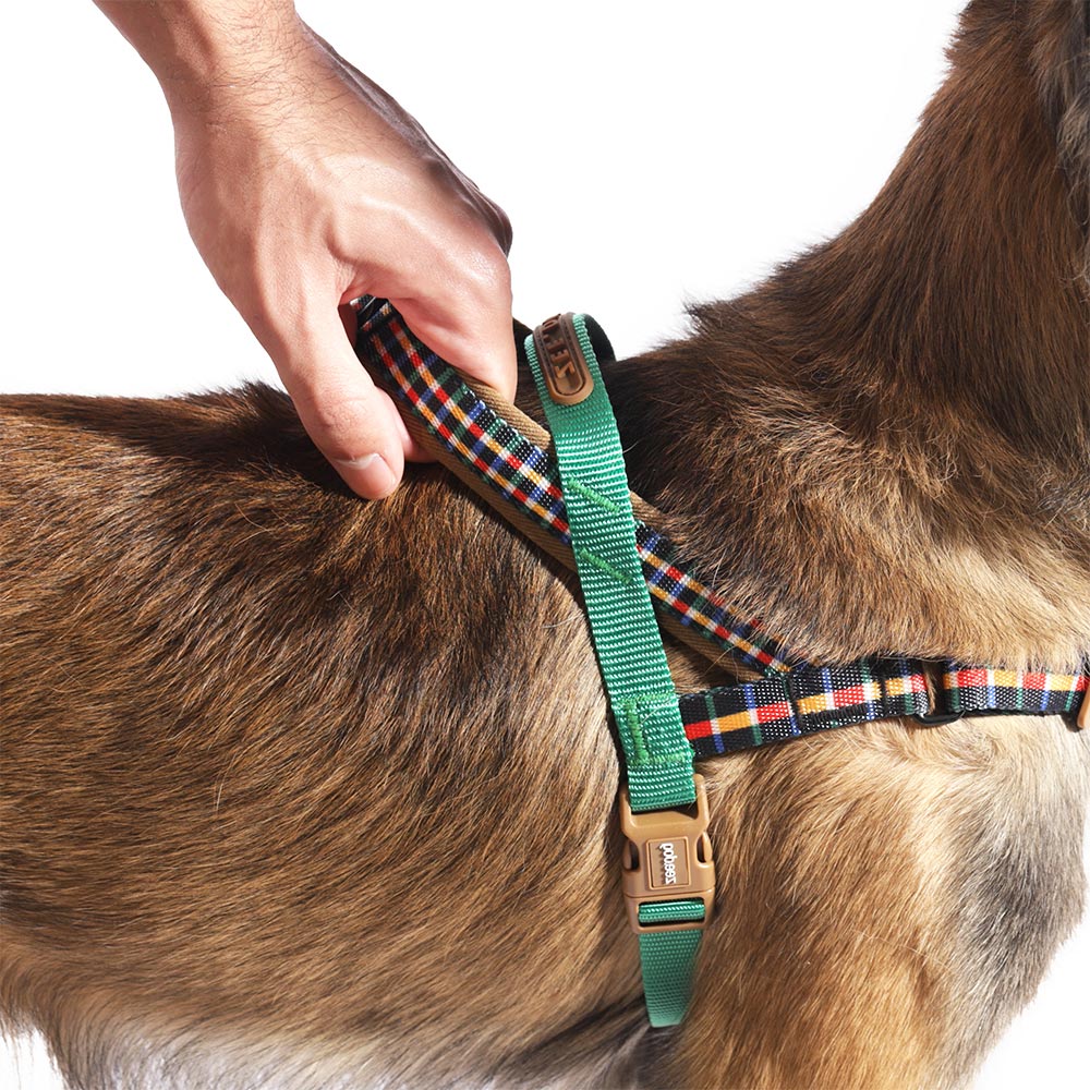 Peitoral Antipuxão SofterWalk Travis para Cachorros