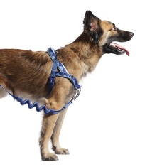 Peitoral Antipuxão SofterWalk Swell para Cachorros