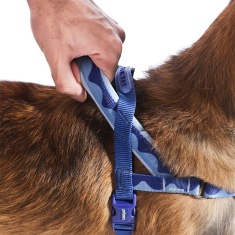 Peitoral Antipuxão SofterWalk Swell para Cachorros