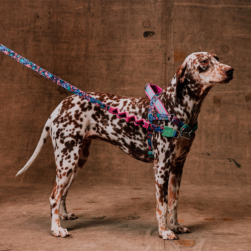 Peitoral Softerwalk Zee.Dog x Reebok Aerobic para Cães