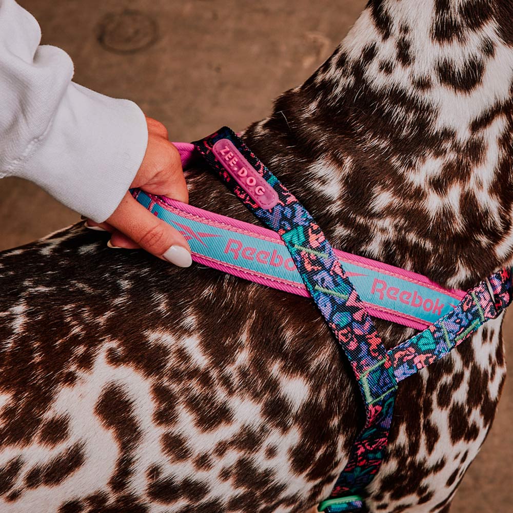 Peitoral Softerwalk Zee.Dog x Reebok Aerobic para Cães