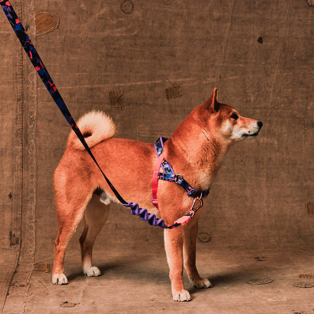 Peitoral Softerwalk Zee.Dog x Reebok Court para Cães