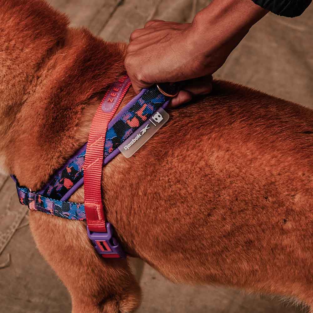 Peitoral Softerwalk Zee.Dog x Reebok Court para Cães
