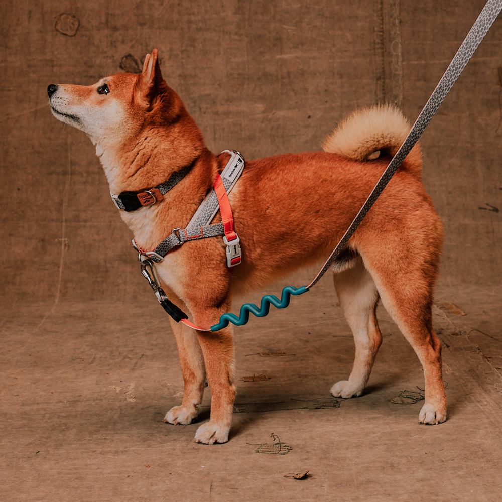 Peitoral Softerwalk Zee.Dog x Reebok Suede para Cães