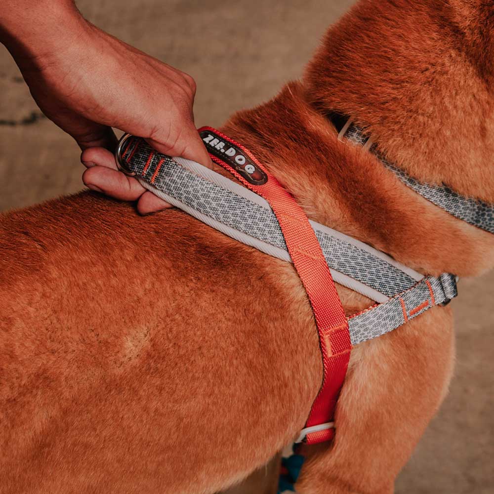 Peitoral Softerwalk Zee.Dog x Reebok Suede para Cães