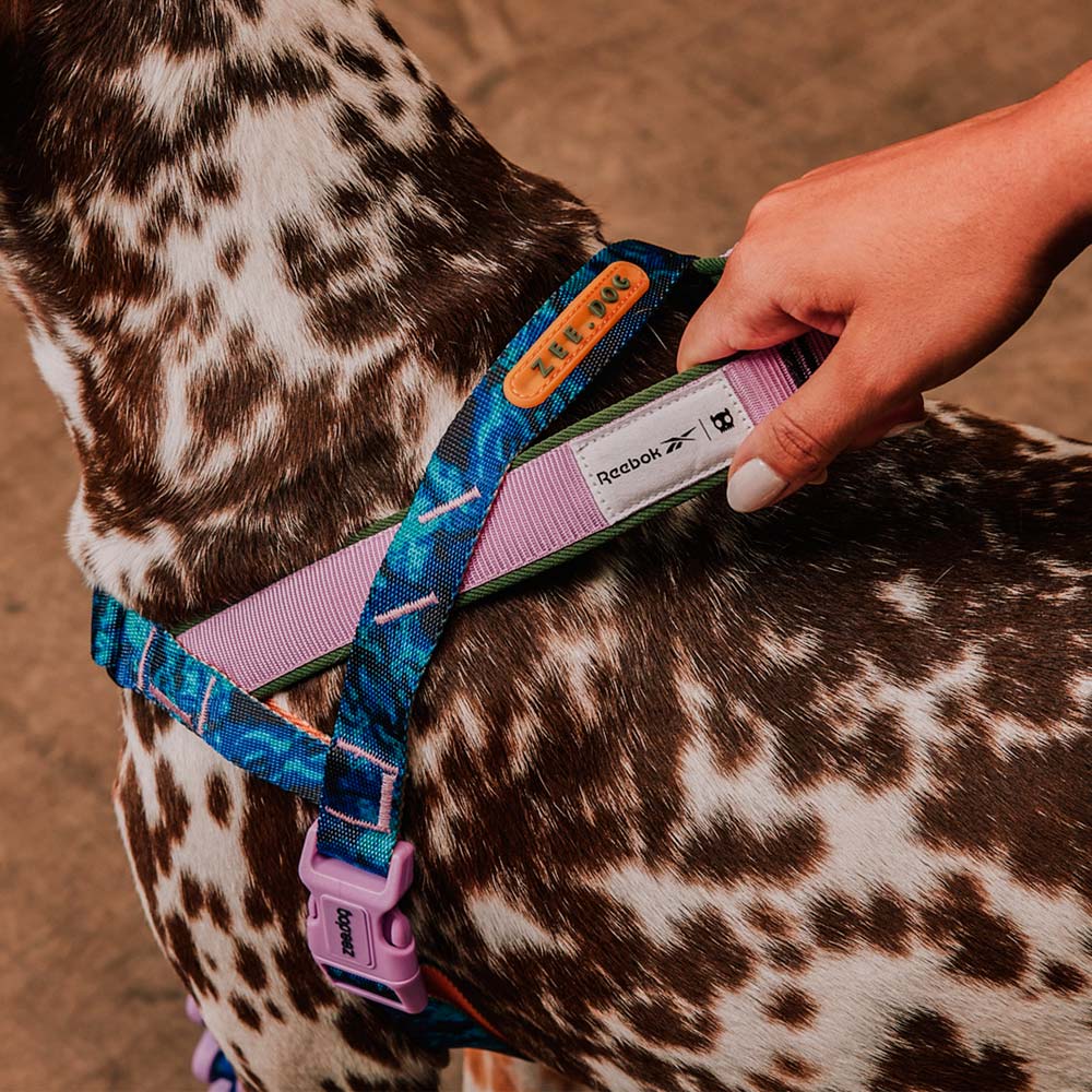 Peitoral Softerwalk Zee.Dog x Reebok Trekk para Cães