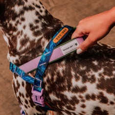 Peitoral Softerwalk Zee.Dog x Reebok Trekk para Cães