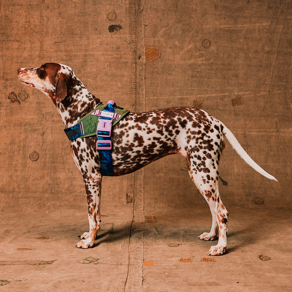 Peitoral FlyHarness Zee.Dog x Reebok Trekk para Cães