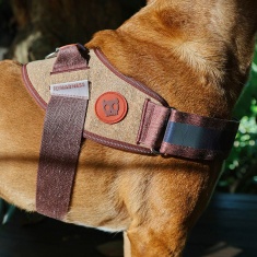 Peitoral Zee.Dog FlyHarness Naturals Cocoa para Cães