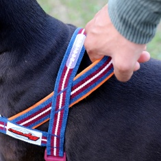 Peitoral Anti Puxão SofterWalk Velvet Vibes Dropout para Cães