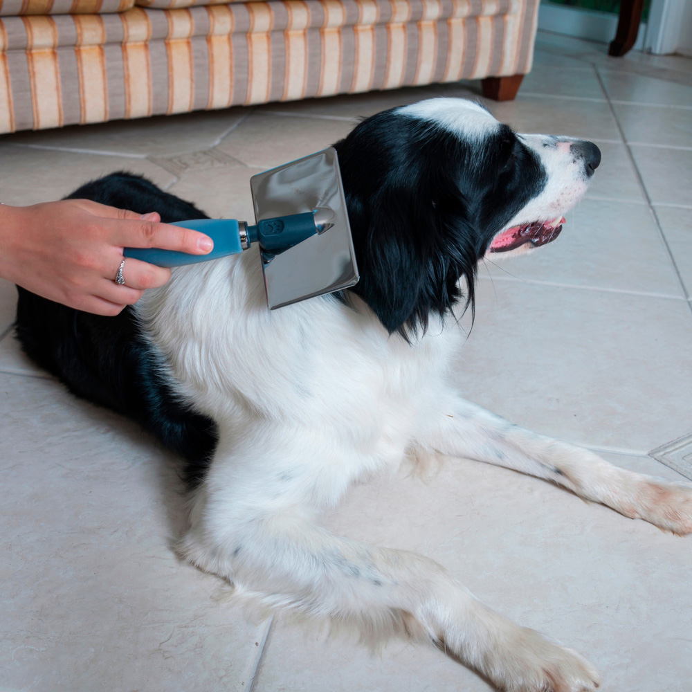 Rasqueadeira para Cães e Gatos Germanhart