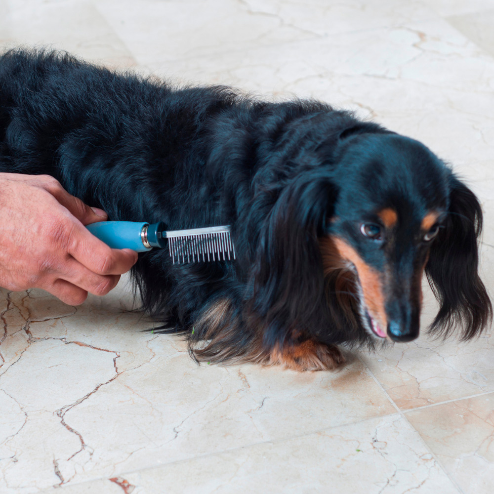 Pente para Cães e Gatos com Dentes Alternados Germanhart