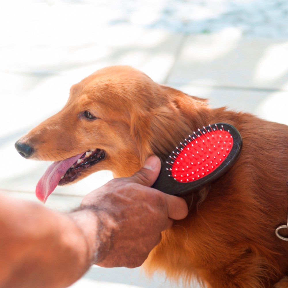 Escova Dupla para Cães e Gatos Germanhart