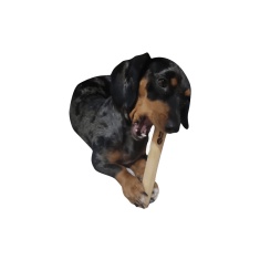 Brinquedo Wood Amicus Sustentável para Cães