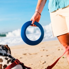 Brinquedo Petz Frisbee Vermelho para Cães