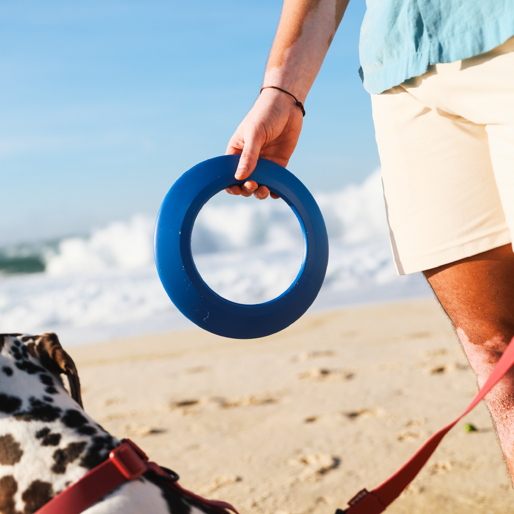 Brinquedo Petz Frisbee Azul para Cães