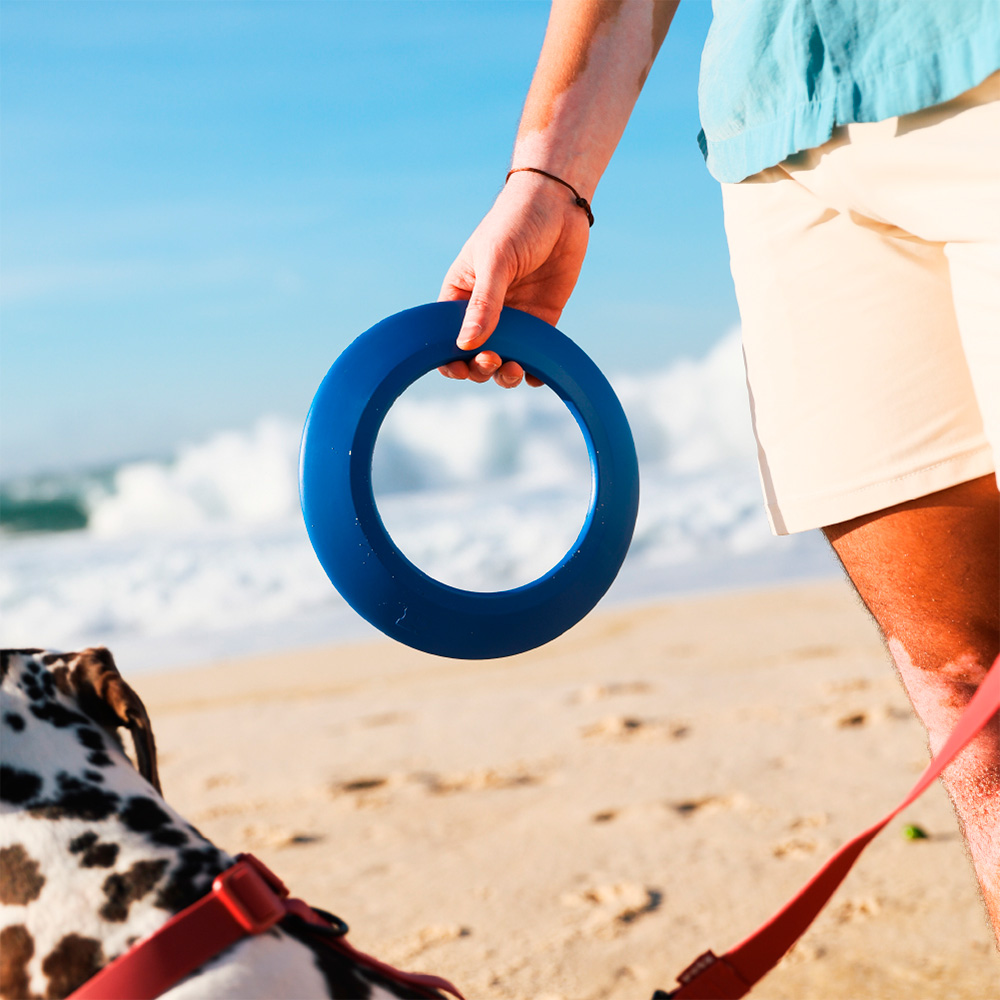 Brinquedo Petz Frisbee Amarelo para Cães