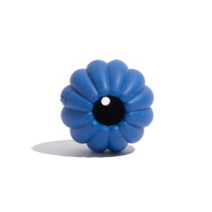 Brinquedo Petz Tangerina Azul para Cães