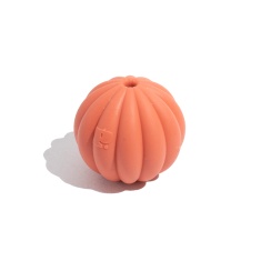 Brinquedo Petz Tangerina Vermelha para Cães