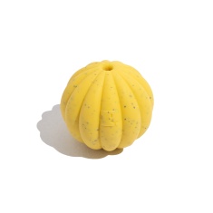 Brinquedo Petz Tangerina Amarela para Cães