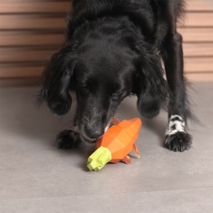 Brinquedo Zee.Dog Super Veggiez Cenoura para Cães