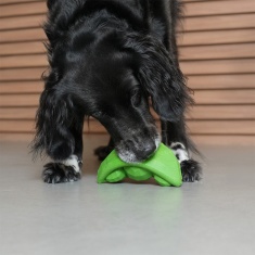 Brinquedo Zee.Dog Super Veggiez Ervilha para Cães