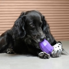 Brinquedo Zee.Dog Super Veggiez Berinjela para Cães