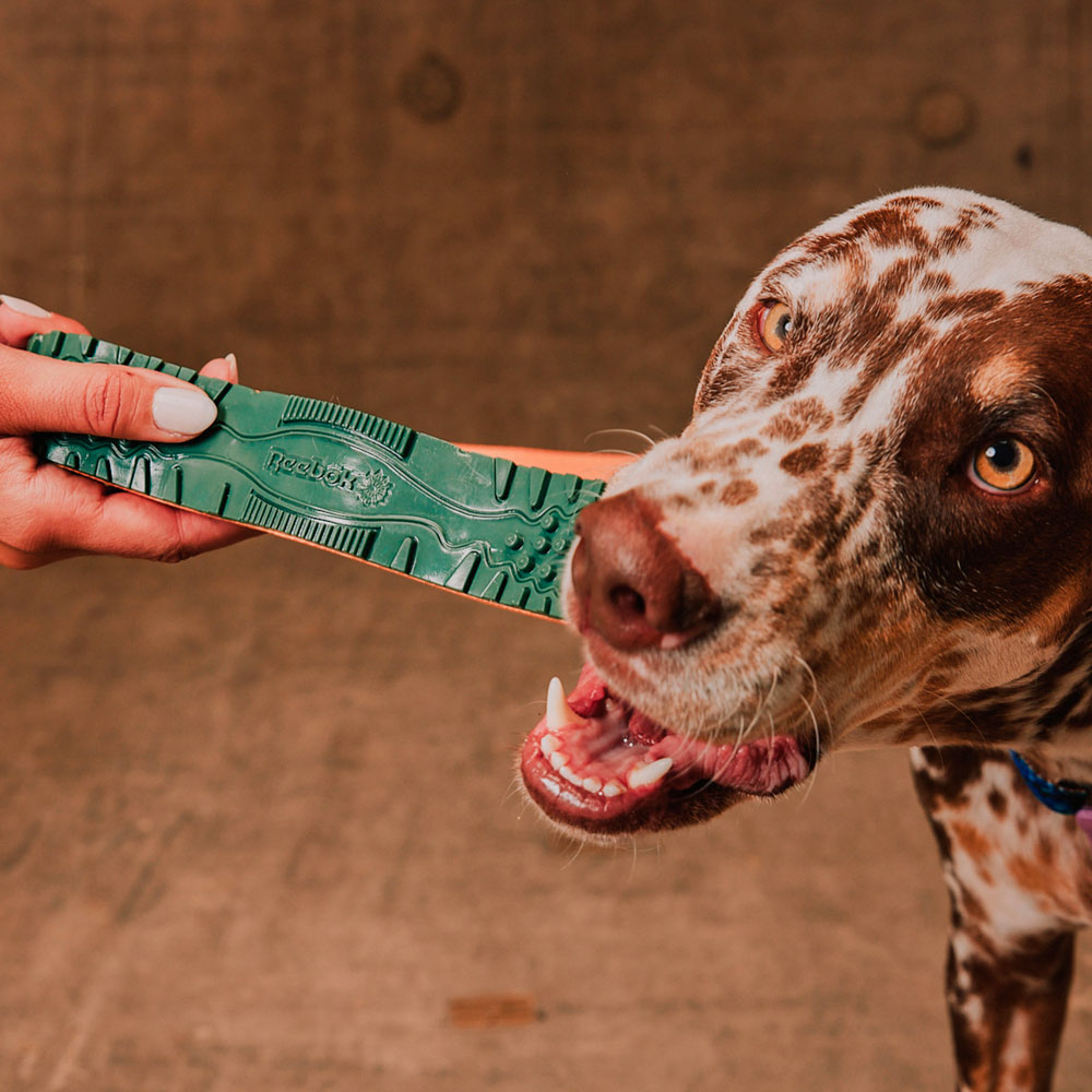 Brinquedo Zee.Dog x Reebok Twiig para Cães
