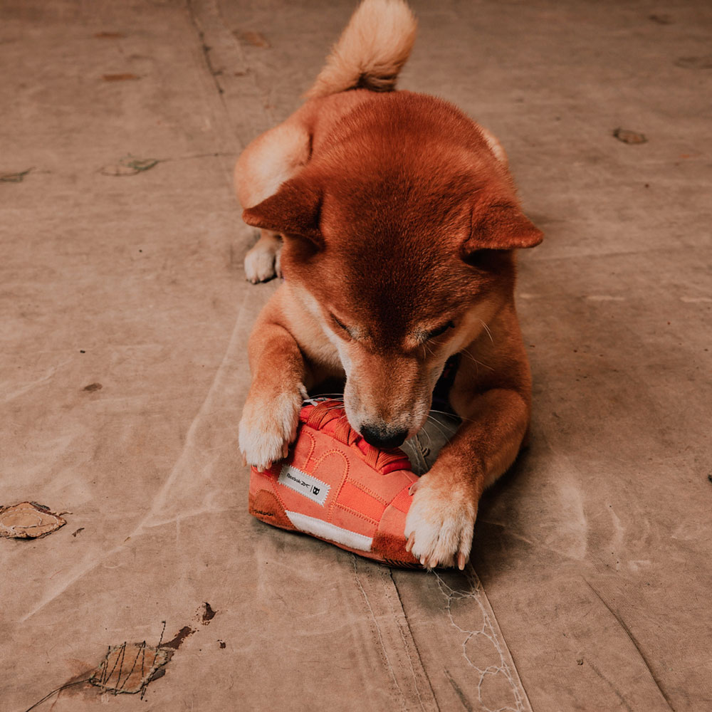 Brinquedo de Pelúcia Zee.Dog x Reebok Workout Plus para Cães