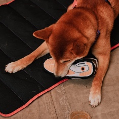 Brinquedo de Pelúcia Zee.Dog x Reebok Pump Omni para Cães