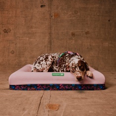 Cama Zee.Dog x Reebok Aerobic Zee.Bed para Cães