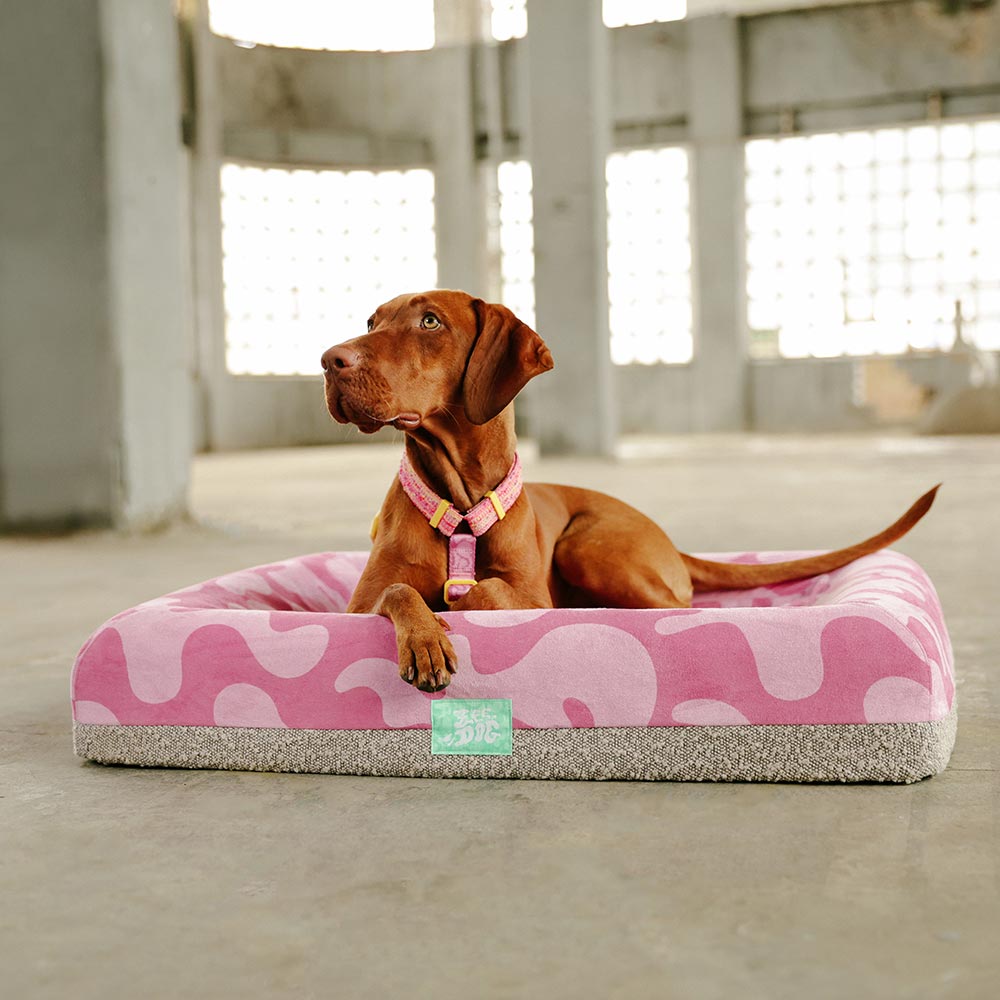 Cama Zee.Dog Fuse Chop Zee.Bed para Cães